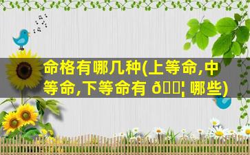 命格有哪几种(上等命,中等命,下等命有 🐦 哪些)